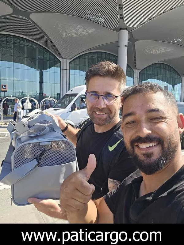 Yurt içi ve yurt dışı evcil hayvan taşıma hizmeti